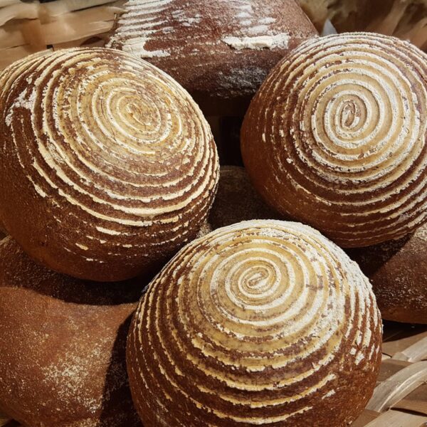 PAN DE CENTENO